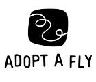 Adopt a Fly